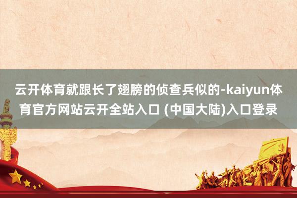 云开体育就跟长了翅膀的侦查兵似的-kaiyun体育官方网站云开全站入口 (中国大陆)入口登录